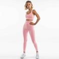 Gym Fitness Clothing Women's Yoga Suit Set