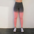 Women Ombre Seamless Leggings