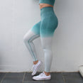 Women Ombre Seamless Leggings