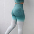 Women Ombre Seamless Leggings