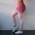 Women Ombre Seamless Leggings