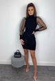 Elegant Mesh Sheer Bodycon Mini Dess