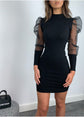 Elegant Mesh Sheer Bodycon Mini Dess