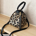 Luxury Messenger Leopard Print Bag