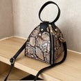 Luxury Messenger Leopard Print Bag