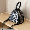 Luxury Messenger Leopard Print Bag