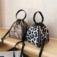 Luxury Messenger Leopard Print Bag