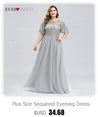 Elegant Plus Size Chiffon Formal Evening Dress