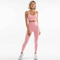 Gym Fitness Clothing Women's Yoga Suit Set